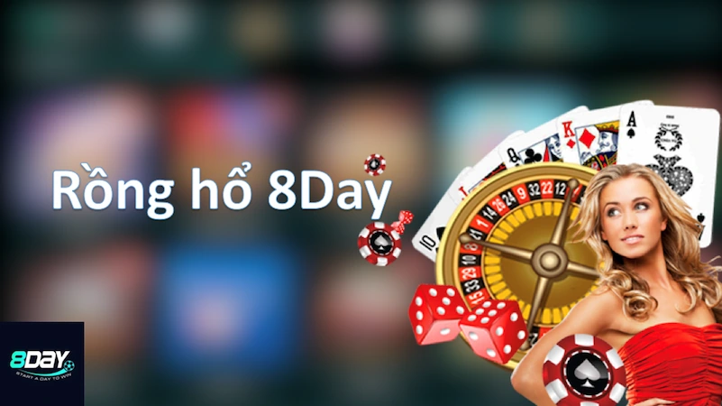 Rồng hổ 8day
